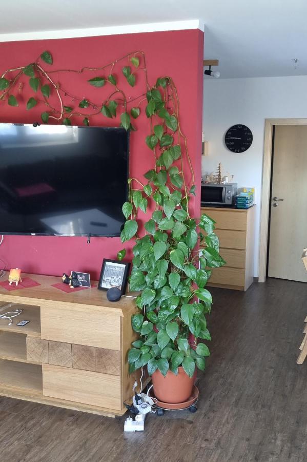 Ferienwohnung Bergidyll Schwarzenberg  Dış mekan fotoğraf